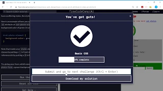 Basic CSS Use an ID Attribute to Style an Element freeCodeCamp