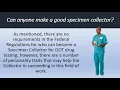 How to Become a Specimen Collector for DOT Drug Testing