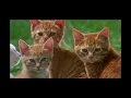 Milo and Otis ending