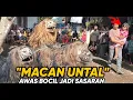 Download Lagu Awas!! Mancan Ontal Caplok Asli Priyana budaya-Bersih Audionya