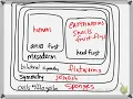 bio 11-20 complicated cladogram