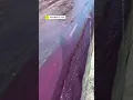 Download Lagu River of Red Wine Flows Through Portuguese Streets After a Winery Tank Bursts