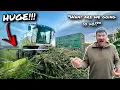 Download Lagu THE MOST INCREDIBLE CROP EVER!... MONSTER MAIZE!