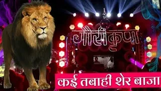sher baja tiger dhun dhumal dj mix new tigar dhun full dj music tiger sandal non stop