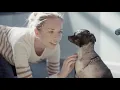 Metamorphosis What Happens When Rescue Animals At SF SPCA Are Given Love And Care