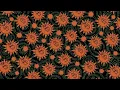 50 Palos | Feid Type Beat FERXXOCALIPSIS