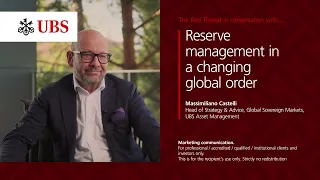 M Castelli What Resilience Means for Reserve Managers Today The Red Thread RMS 2026