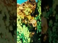 رامي جمال - كنا ممكن نتفق - Ramy Gamal - Kona Momken  Netfeq
