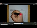 STAAR Reference Sheet Review