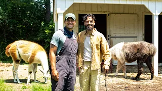 This Man Quit Google TECH JOB to Become a Farmer