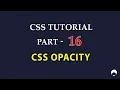 CSS Tutorial for Beginners Tamil - 16