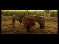 Dangal - Title Track ,Daler Mehndi