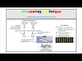 Microarray Technique DNA Microarray