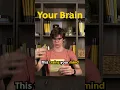 Download Lagu Memorize Anything by Using the Active Recall Technique