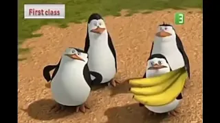 بطاريق مدغشقر حلقات جديدة 