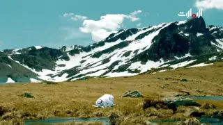 ربي أغفر لي ولوالدي مشاري العفاسي 