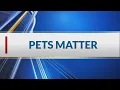 Overpopulated shelters in Shreveport-Bossier