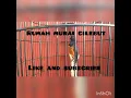 Masteran murai batu isian sekebon cililin cucak jenggot kenari lovebird