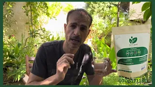 بذور الراحة للقضاء علوى القولون 