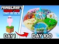 I Spent 100 Days Pushing One Block To Its Absolute Limits