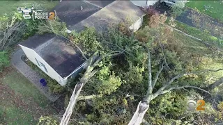Storm Causes Widespread Damage In Madison NJ