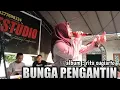 Download Lagu 🔴 BUNGA PENGANTIN - RITA SUGIARTO - COVER : LILI SUGIARTO - MUSIK KIBOT DAFSTUDIO