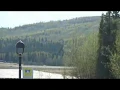 Fairbanks Green-Up 2020