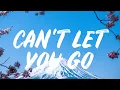 Lagu Ali Gatie - Can't let You Go (Lyrics)