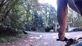 alerg tori n parcul lipnik