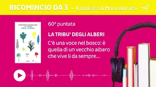 [Ricomincio da 3] Puntata 60 • La tribu’ degli alberi