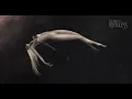 The Pretty Reckless - Got So High (Remix)