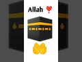 I love Allah #love #allah #muhhamad #trending #viralshort
