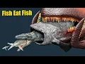 Fish eat Fish Comparison 3D animation