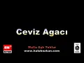 CEVIZ AGACI (35sn) -Haluk ÖZKAN-