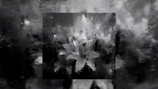 شيرين   بتمنى أنساك                  بدون موسيقى دندنها