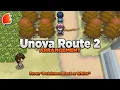 Route 2 Autumn Arrangement Pokemon Black White