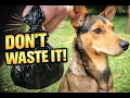 DOG POOP COMPOST - Everyone should do this