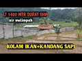 Download Lagu Dijual kandang sapi pls kolam ikan luas tanah,,1400:MTR surat SHM lokasi Bogor Barat lewiliang 