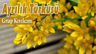 Ayrılık Türküsü - Grup Kıvılcım