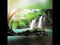 Download Lagu Relax Music (Bloome Forever) By Closer Studio