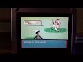 437 - LIVE Shiny Absol in Ruby after 9624 REs Repel Trick