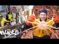 Download Brad Goes Crabbing In Alaska (Part 1) | It's Alive | Bon Appétit mp4 3gp mp3 videos - waplic