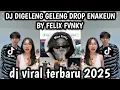 Download Lagu DJ DIGELENG GELENG DROP ENAKEUN BY FELIX FVNKY VIRAL TIKTOK 2025