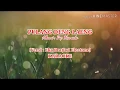 Download Lagu Karaoke - Pulang Deng Laeng (Ver. Eka Pratiwi Electon)