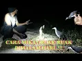 Download Lagu BERBURU BURUNG RUAK-RUAK MALAM HARI//SANGAT MUDAH DITANGKAP..!!!@ivanfirmansyah2084