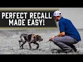 How To Keep Your Dog From Running Away From You - Ecollar Training
