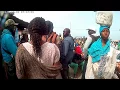 Download Lagu King Dangler ::  Tanji fish market