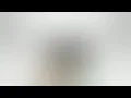 Seribu Tahun Takkan Mungkin (Nada Tinggi)