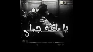 منشن العسليه يا كريزه والعيون جميله يا بنت قلبي يا اصيله اسلام كابونجا حالات واتس مؤمن عزام 