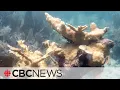 Waters off Florida coast reach hot tub temperatures